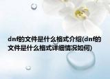 dnf的文件是什么格式介绍(dnf的文件是什么格式详细情况如何)