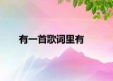 有一首歌词里有<菩提本无树明境亦非台本来无一物何处惹尘埃》是个女音的(是什么歌名介绍 有一首歌词里有<菩提本无树明境亦非台本来无一物何处惹尘埃》是个女音的 是什么歌名详细情况如何)