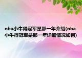 nba小牛得冠军是那一年介绍(nba小牛得冠军是那一年详细情况如何)