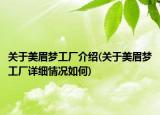关于美眉梦工厂介绍(关于美眉梦工厂详细情况如何)
