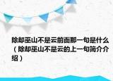 除却巫山不是云前面那一句是什么（除却巫山不是云的上一句简介介绍）