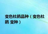 变色杜鹃品种（变色杜鹃 变种）