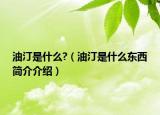 油汀是什么?（油汀是什么东西简介介绍）
