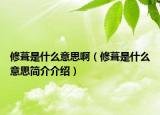 修葺是什么意思啊（修葺是什么意思简介介绍）