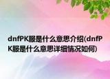 dnfPK服是什么意思介绍(dnfPK服是什么意思详细情况如何)