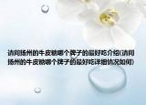 请问扬州的牛皮糖哪个牌子的最好吃介绍(请问扬州的牛皮糖哪个牌子的最好吃详细情况如何)