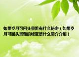 如果岁月可回头景雅有什么秘密（如果岁月可回头景雅的秘密是什么简介介绍）