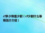 cf多少级是少尉（cf少尉什么等级简介介绍）