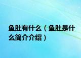 鱼肚有什么（鱼肚是什么简介介绍）