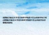 沈阳航天航空大学北方软件学院是个怎么样的学校介绍(沈阳航天航空大学北方软件学院是个怎么样的学校详细情况如何)