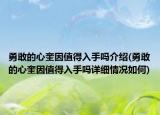 勇敢的心奎因值得入手吗介绍(勇敢的心奎因值得入手吗详细情况如何)
