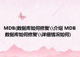MDB(数据库如何修复\介绍 MDB 数据库如何修复\详细情况如何)