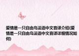 爱情是一只自由鸟法语中文音译介绍(爱情是一只自由鸟法语中文音译详细情况如何)