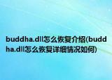 buddha.dll怎么恢复介绍(buddha.dll怎么恢复详细情况如何)