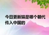 今日更新猫是哪个朝代传入中国的