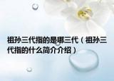 祖孙三代指的是哪三代（祖孙三代指的什么简介介绍）