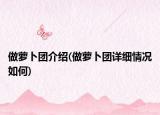 做萝卜团介绍(做萝卜团详细情况如何)