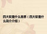 四大软是什么意思（四大软是什么简介介绍）