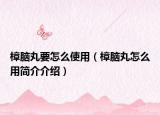 樟脑丸要怎么使用（樟脑丸怎么用简介介绍）