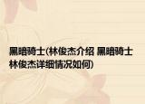 黑暗骑士(林俊杰介绍 黑暗骑士 林俊杰详细情况如何)