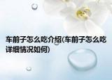 车前子怎么吃介绍(车前子怎么吃详细情况如何)