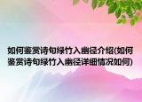 如何鉴赏诗句绿竹入幽径介绍(如何鉴赏诗句绿竹入幽径详细情况如何)