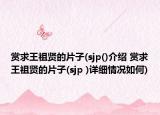赏求王祖贤的片子(sjp()介绍 赏求王祖贤的片子(sjp )详细情况如何)