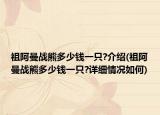 祖阿曼战熊多少钱一只?介绍(祖阿曼战熊多少钱一只?详细情况如何)