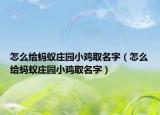 怎么给蚂蚁庄园小鸡取名字（怎么给蚂蚁庄园小鸡取名字）