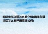国际象棋棋谱怎么看介绍(国际象棋棋谱怎么看详细情况如何)