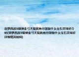 造梦西游3银弹金弓天殇犹绝分别装什么宝石灵珠好介绍(造梦西游3银弹金弓天殇犹绝分别装什么宝石灵珠好详细情况如何)
