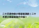 二十不惑中的小卷是谁演的（二十不惑小卷是谁简介介绍）