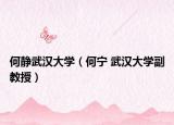 何静武汉大学（何宁 武汉大学副教授）