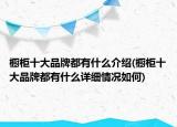 橱柜十大品牌都有什么介绍(橱柜十大品牌都有什么详细情况如何)