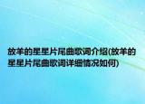 放羊的星星片尾曲歌词介绍(放羊的星星片尾曲歌词详细情况如何)