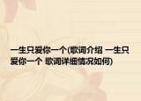 一生只爱你一个(歌词介绍 一生只爱你一个 歌词详细情况如何)