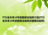 IT行业未来10年的前景会如何介绍(IT行业未来10年的前景会如何详细情况如何)