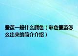 蚕茧一般什么颜色（彩色蚕茧怎么出来的简介介绍）