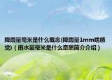 降雨量毫米是什么概念(降雨量1mm啥感觉)（雨水量毫米是什么意思简介介绍）