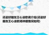 还是好朋友王心凌歌词介绍(还是好朋友王心凌歌词详细情况如何)