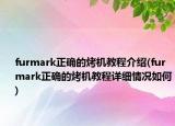 furmark正确的烤机教程介绍(furmark正确的烤机教程详细情况如何)