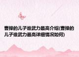 曹操的儿子谁武力最高介绍(曹操的儿子谁武力最高详细情况如何)
