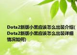 Dota2新版小黑应该怎么出装介绍(Dota2新版小黑应该怎么出装详细情况如何)