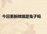 今日更新嫦娥是兔子吗