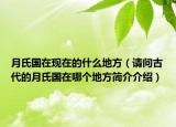 月氏国在现在的什么地方（请问古代的月氏国在哪个地方简介介绍）
