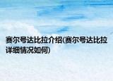 赛尔号达比拉介绍(赛尔号达比拉详细情况如何)