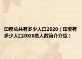 印度总共有多少人口2020（印度有多少人口2020总人数简介介绍）