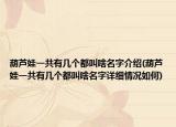葫芦娃一共有几个都叫啥名字介绍(葫芦娃一共有几个都叫啥名字详细情况如何)