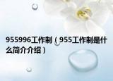 955996工作制（955工作制是什么简介介绍）