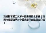 我拥抱着爱当从梦中醒来是什么歌曲（我拥抱着爱当从梦中醒来是什么歌简介介绍）
